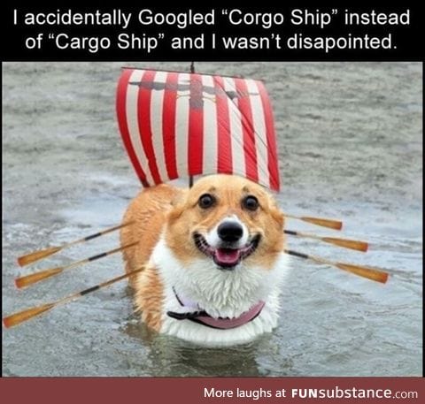 Corgo ship