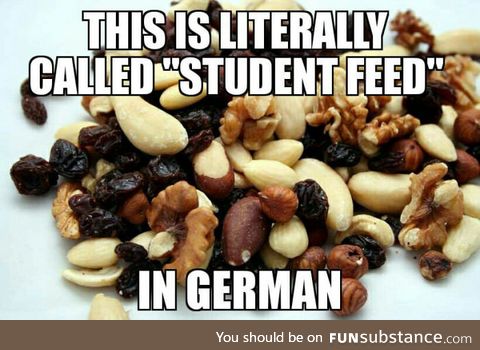 I agree that deez nuts have all the nutrients you need for a long study session
