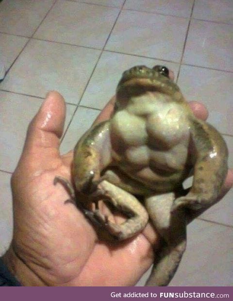 Battle toad?