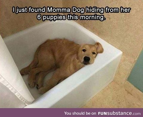 Mama dog needs a break