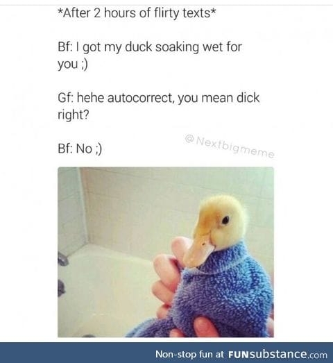 I prefer ducks