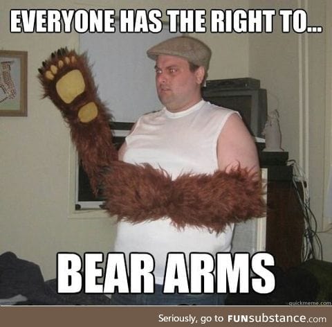 Right to bear arms