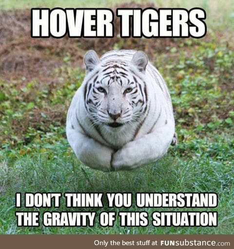Hover tigers