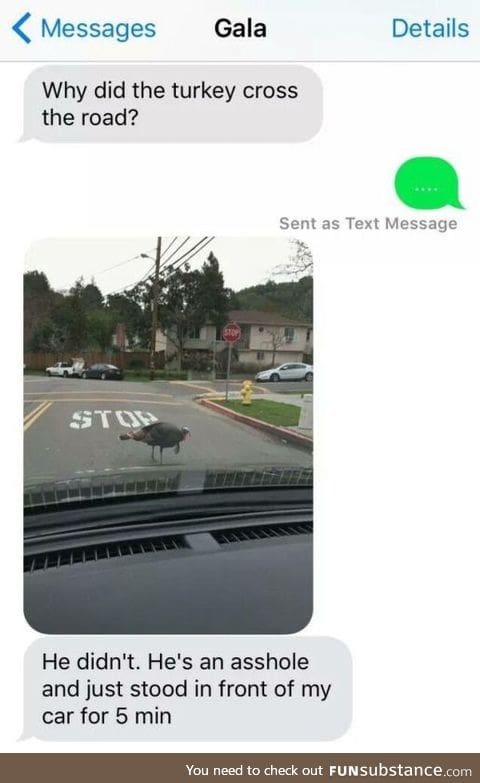 Why did the turkey cross the road