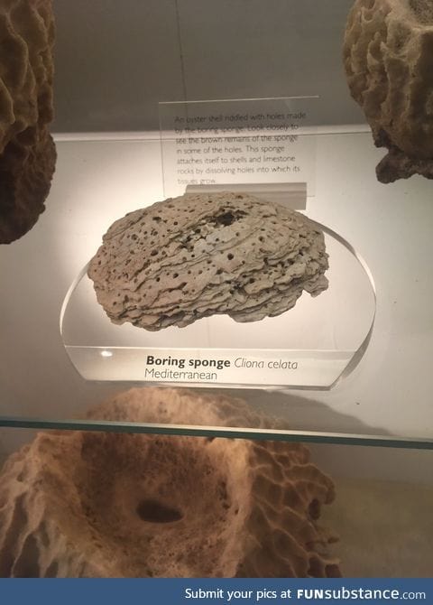 Found my ex in the Natural History Museum