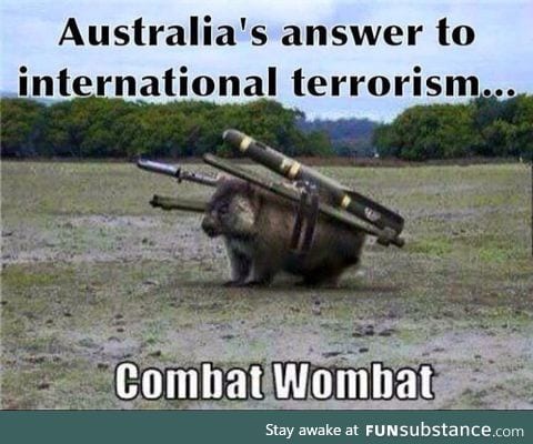 Stop turning wombats into weapons