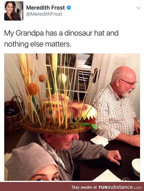 I want a dinosaur hat