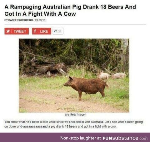 Things that only happen in australia