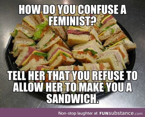 Confuse a feminist