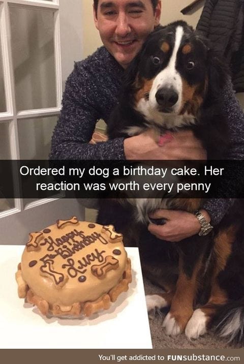 Happy birthday doggo