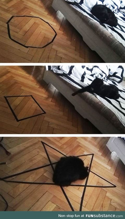 Guy Can't Get His Cat To Sit In The Circle, But Then Discovers Something