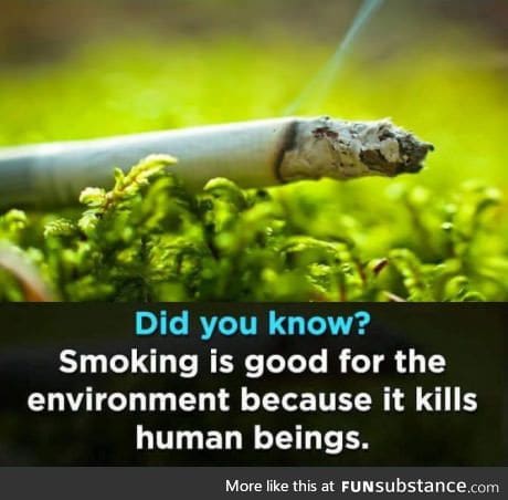 Interesting fact