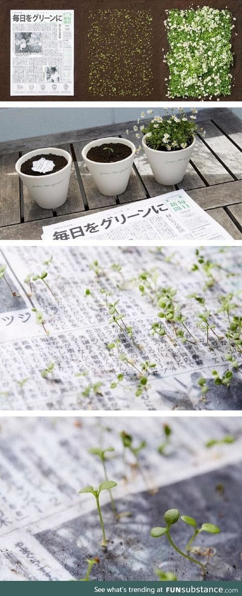 Japan is adding seeds to their newspapers so they can become plants again after use
