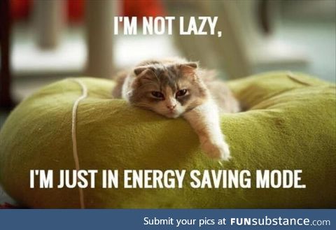 I'm not lazy