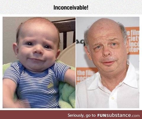 Wallace shawn baby