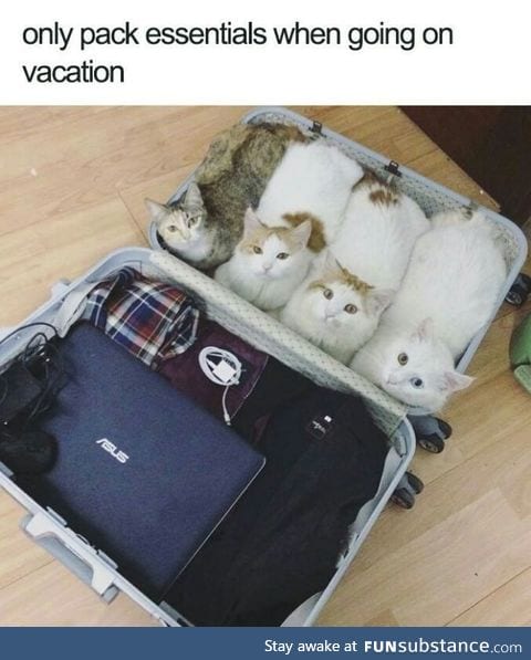 They pack themselves