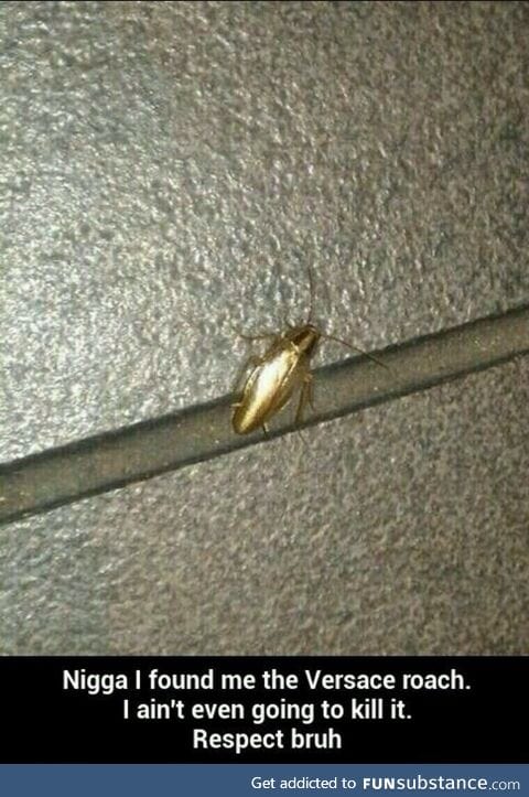 The Godly Versace Roach