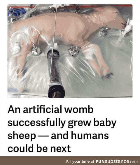 Artificial wombs