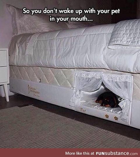 Bed with a place for your dog