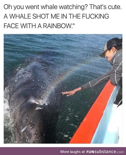 Whale rainbow