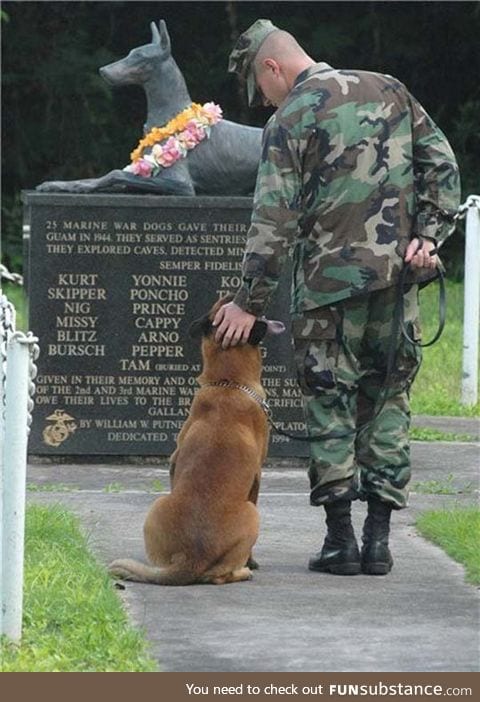 Taken At The US Marine's War Dog Memorial