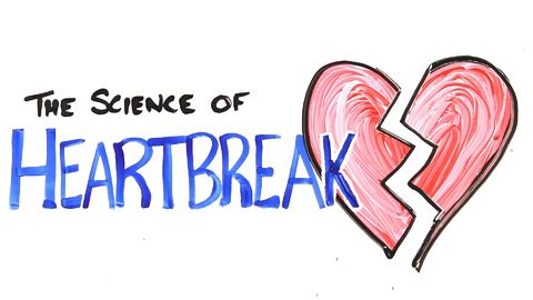 DDOL #58- the science of heartbreak ASAPscience