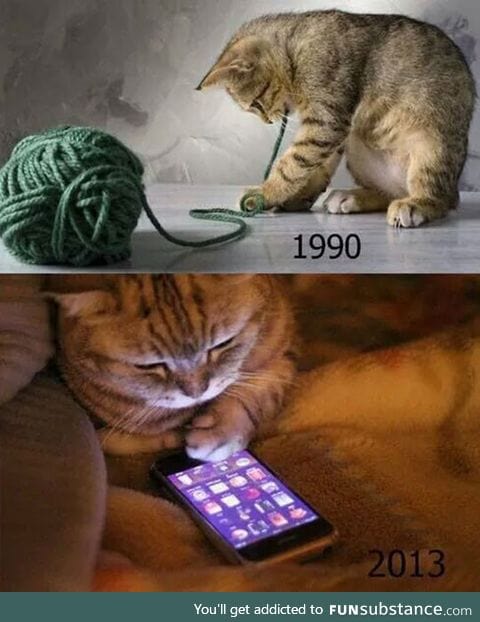 90s Cats Will Understand