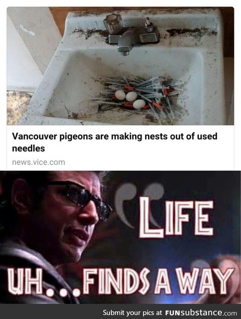 Life uh... Finds a way