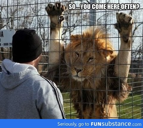 Oh, Lion