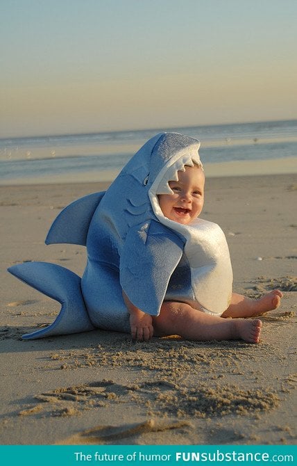 Rare picture of a baby great white shark