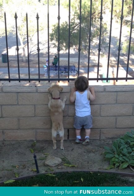 Dog and kid just staring together