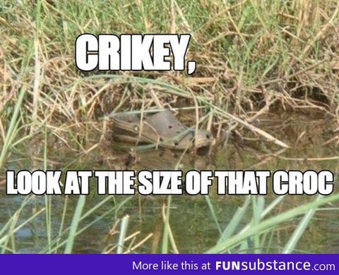 Look at the size of that croc