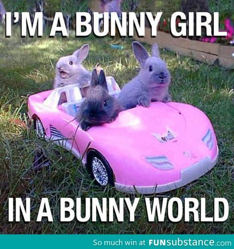 Come on bunny let's go party!