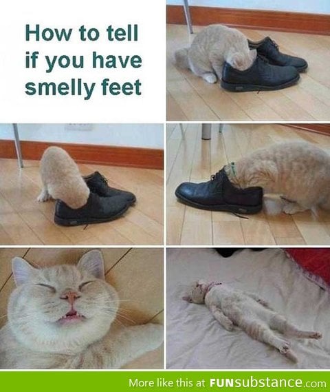 How to tell if you have smelly feet