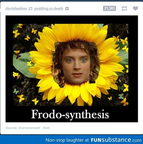 frodosynthesis