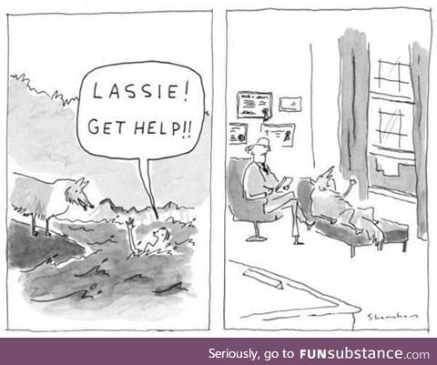 Lassie finally gets help