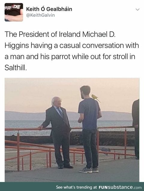 Meet the President of Ireland
