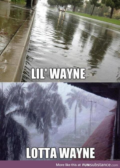 How do you like the wayne?