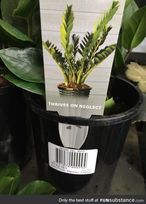 If I were a plant