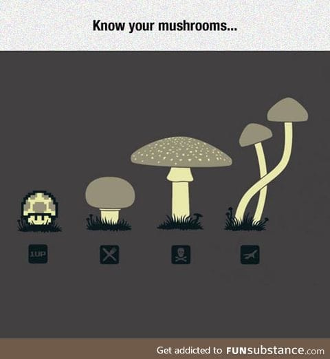 Something you should know about mushrooms