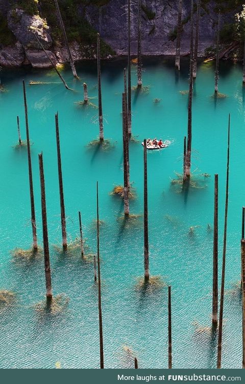 Sunken forest