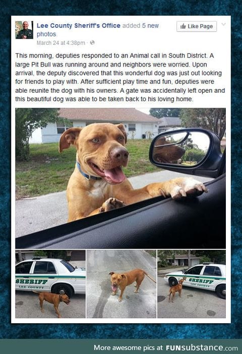 Some police officers know how to interact with dogs