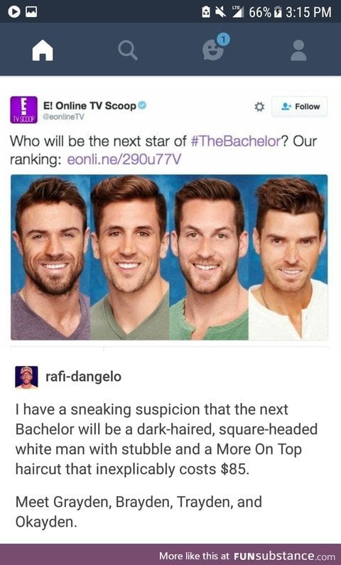 Bachelor