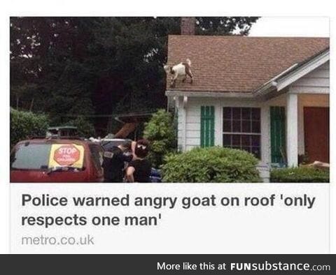 Still my favorite news headline