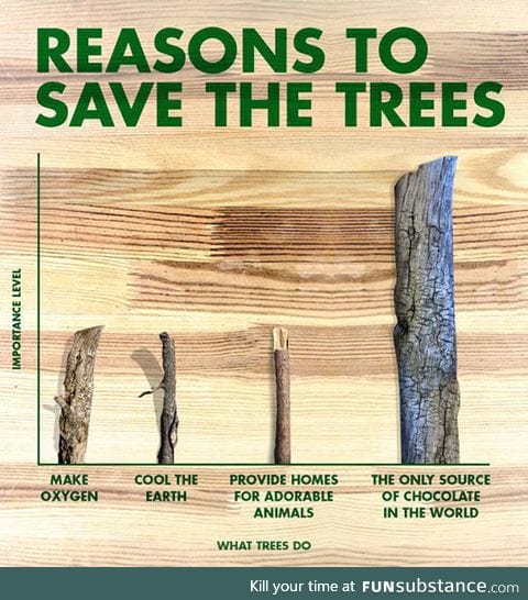 Some reasons to save the trees