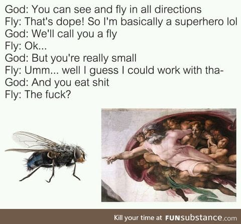 God create fly!