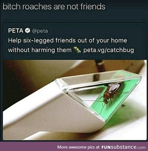 #killallroaches