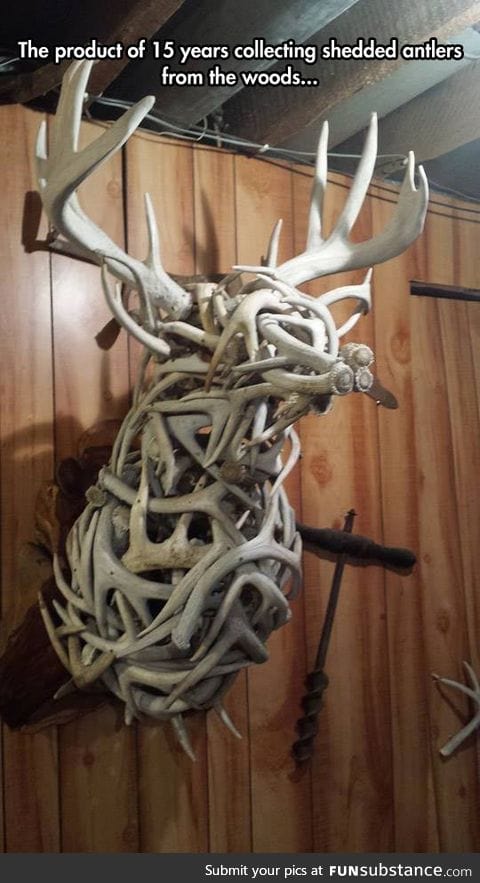 Magnificent sculpture using antlers