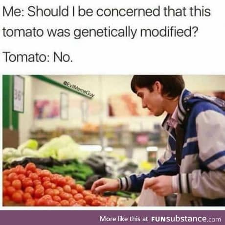 Should I be concerned about GMO tomatoes?
