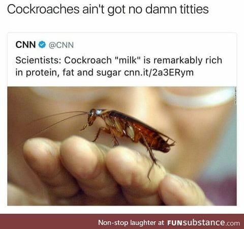 c*ckroach milk